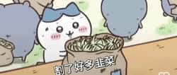 热搜爆了！金价大跳水，比特币却逆天暴涨！
