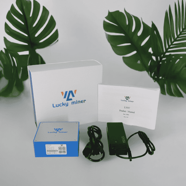 比特币合规浪潮下的币圈生存大变局!