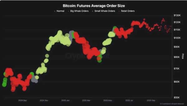散户崛起!BTC迎来新一轮“奇怪反弹”!