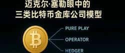 迈克尔·塞勒揭秘：三种比特币金库公司模型！