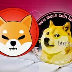 狗狗币与柴犬币暴跌！币圈再迎震荡！