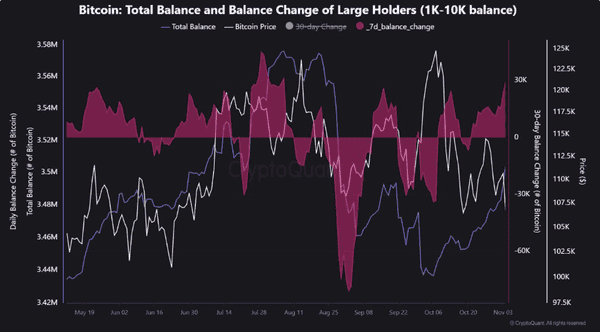 鲸鱼悄然逢低买入，比特币100000美元支撑位测试开启！