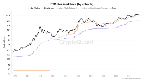比特币巨鲸10天亏损超10亿！110,800美元生死线撑得住吗？