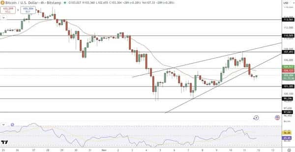比特币价格预测：多头守住10.3万关口，加密里程碑提振市场信心！