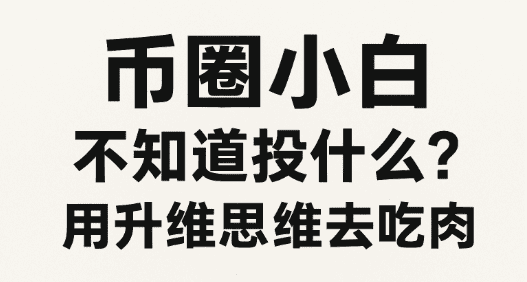 币圈小白必看:用升维思维轻松投资!