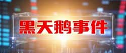 加密货币市场黑天鹅事件回顾:你经历过多少?