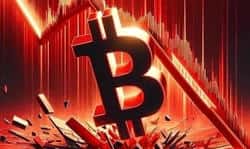 加密货币真的进入熊市?市场结构全面评估!