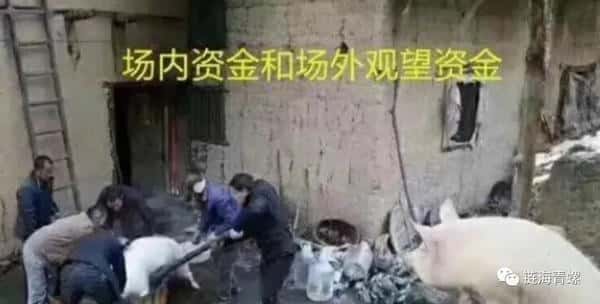 币圈黑幕全曝光:99%散户不知道的20个收割真相