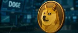 一百美金的DOGECOIN你敢想吗?