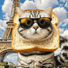 面包猫INBRED：下一个WIF？降息行情下10亿美金市值的埋伏机会