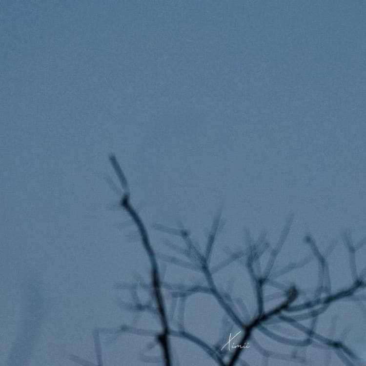 从1万到百万：币圈幸存者的反人性交易法则与防守型盈利体系