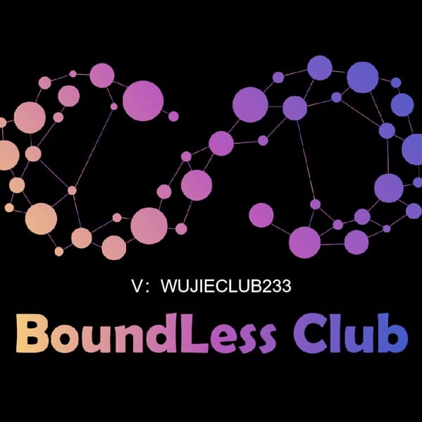 从0.0000019到100倍!0x4444地址FLOKI代币捕获iPhone17级收益全复盘