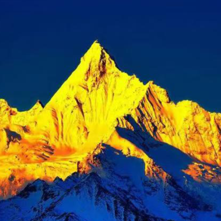 $FORM暴跌引发质疑：是背叛还是道德沦丧？