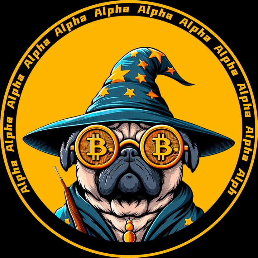 Buidlpad与MMT打新热议：盗窃传言与快照疑云解析