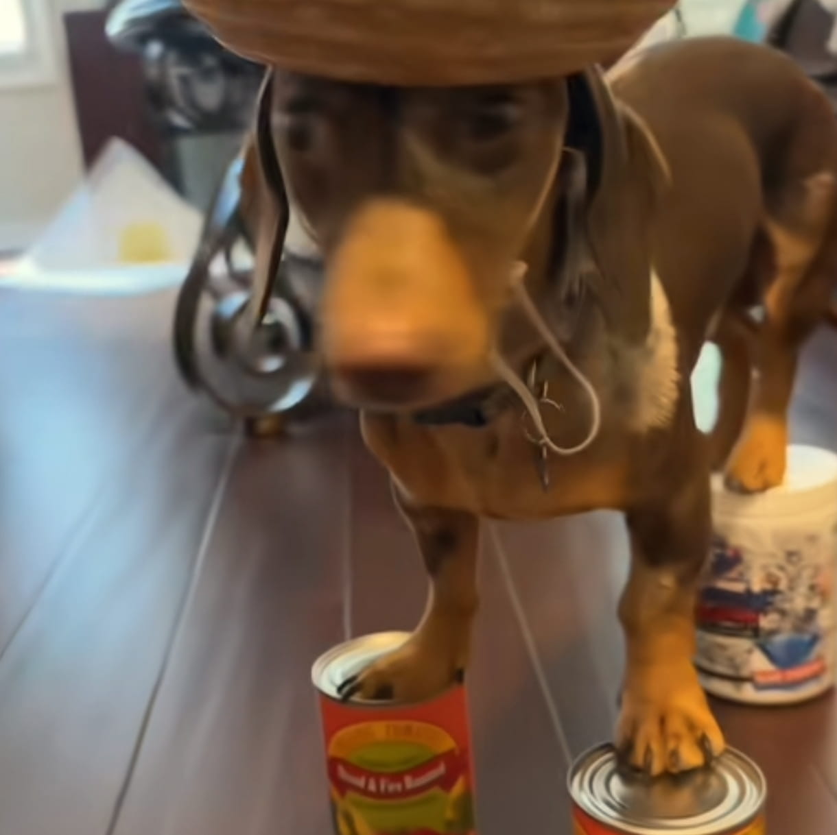 币圈熊市生存法则：从50万到500万的滚仓秘籍与市场陷阱全揭露