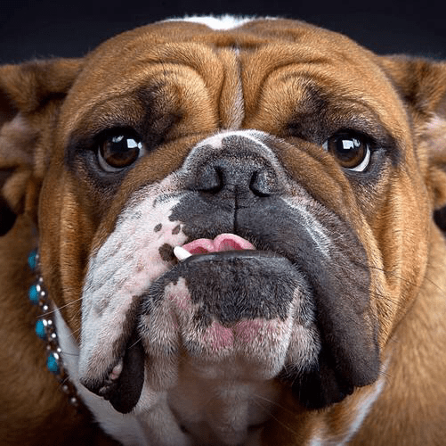 流动性回归在即：美政府重开或将引发市场反弹！