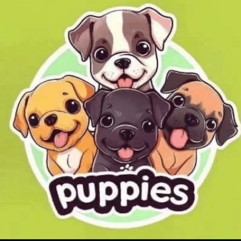 美联储鹰派突袭叠加政府停摆余震:比特币闪崩10万关口 4500亿市值蒸发背后的三重风暴