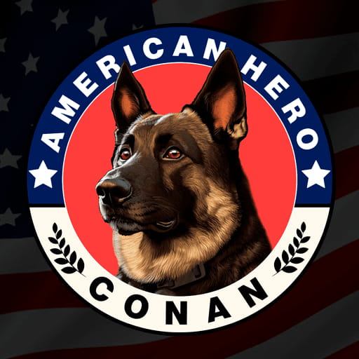 重磅消息!美财政部全民撒钱,流动性海啸2.0即将来袭!