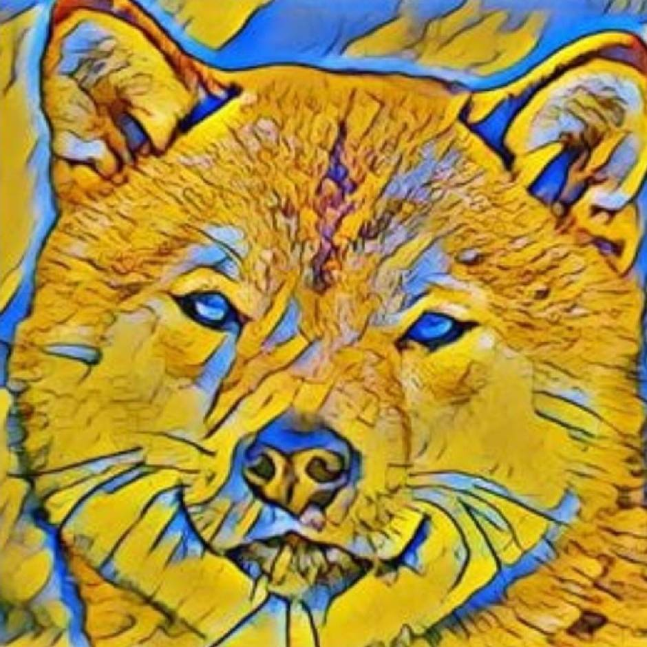 ZEC震荡拉扯655关口，24小时插针超130点，社区情绪成关键变量