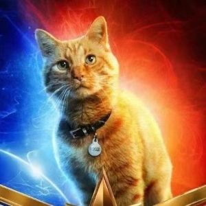 Web3行业紧张加剧：深圳监管风波下的创业者生存指南