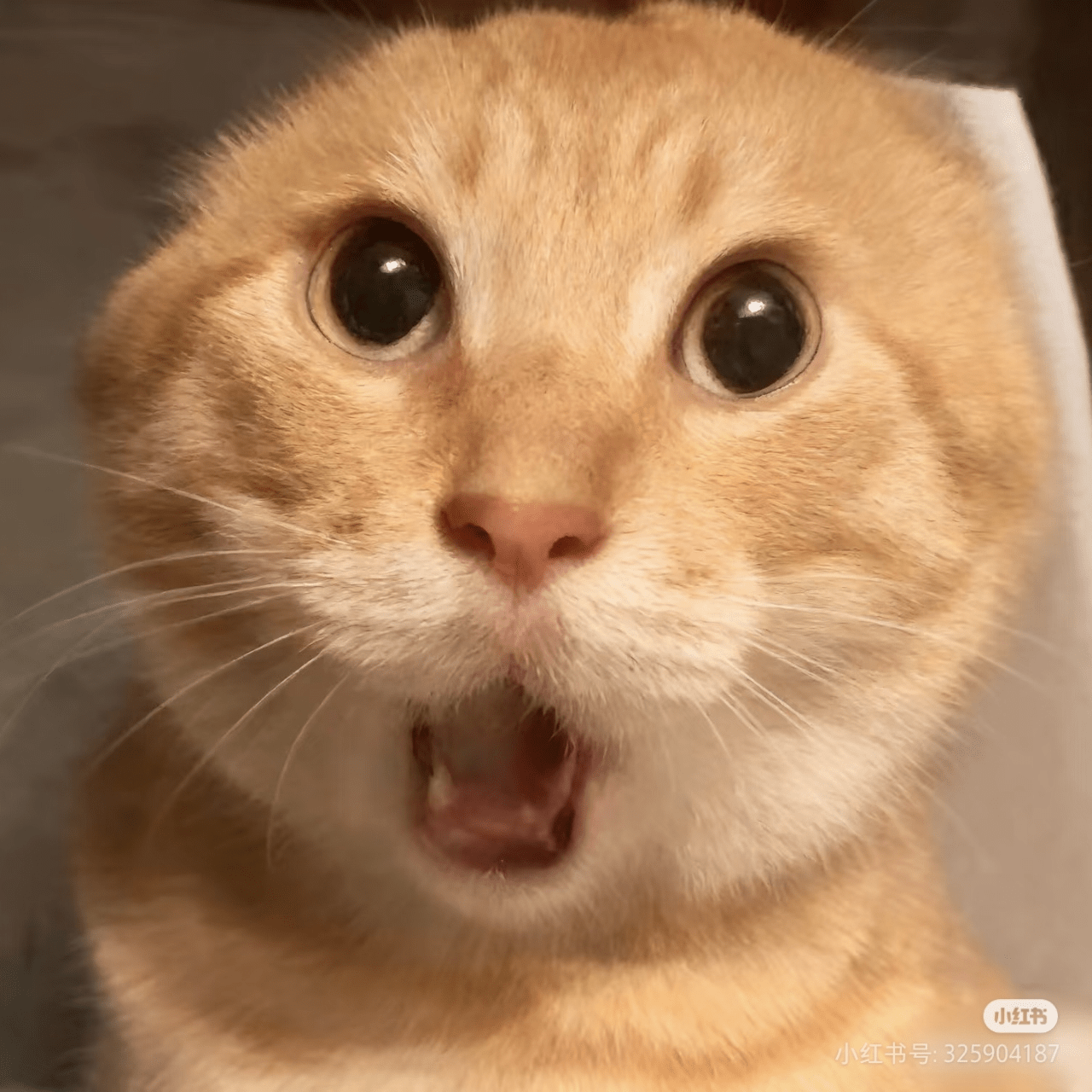 ETH跟单盈利2000U 1000U挑战冲击十倍目标