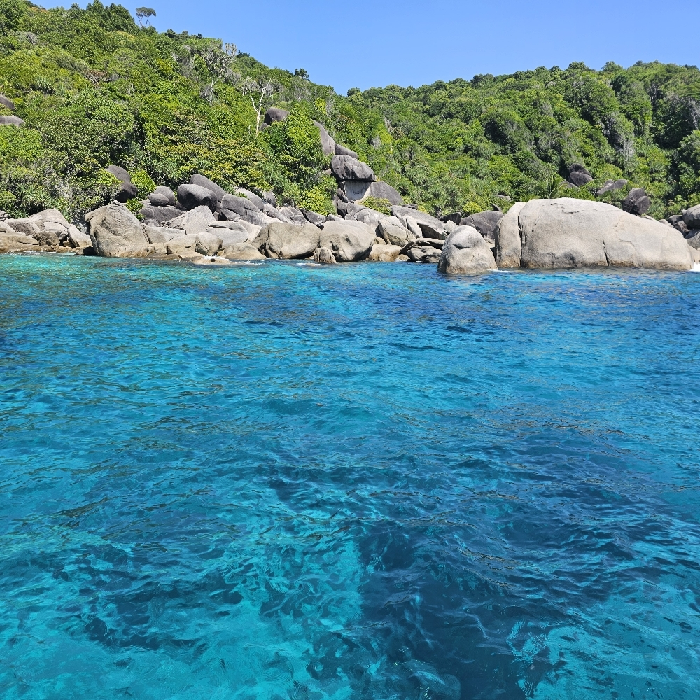 华尔街百亿押注预测市场革命：从Polymarket到Kalshi，如何用炒股逻辑颠覆传统博彩？