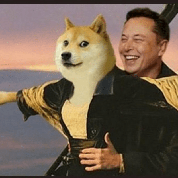 比特币投资新手避坑指南：为何大饼是入门首选而山寨币风险巨大