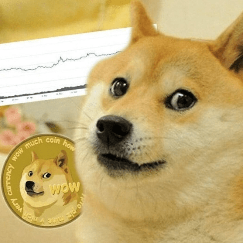 爆亏5亿！ETH新低+加息暴击，扛单抄底惨被套