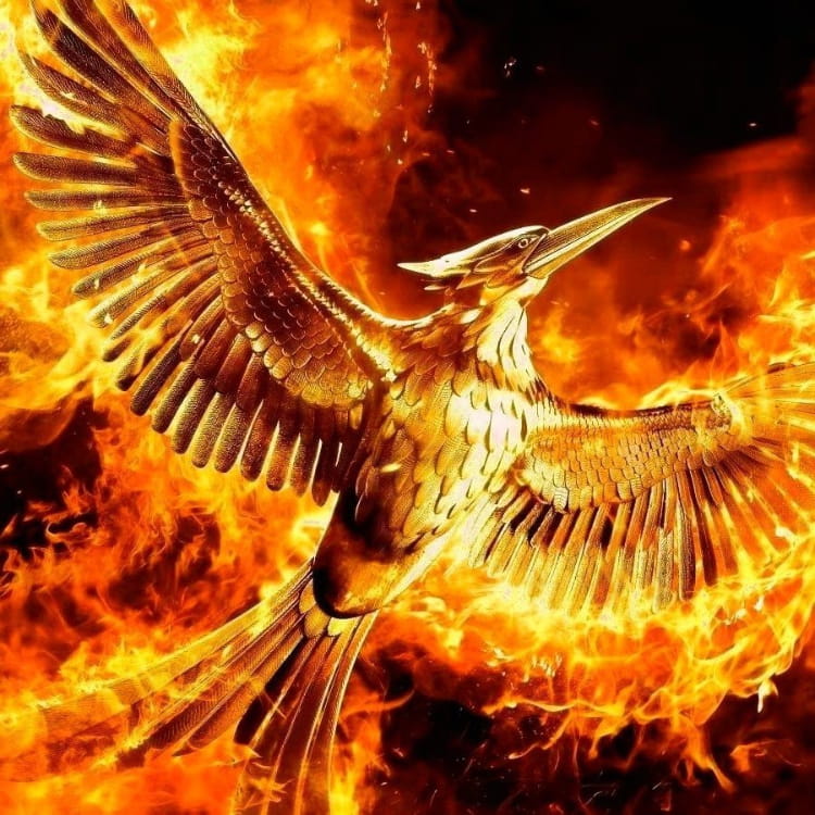 BTC宽幅震荡暴露多头乏力：日加息落地考验8万支撑，山寨币估值泡沫持续挤压