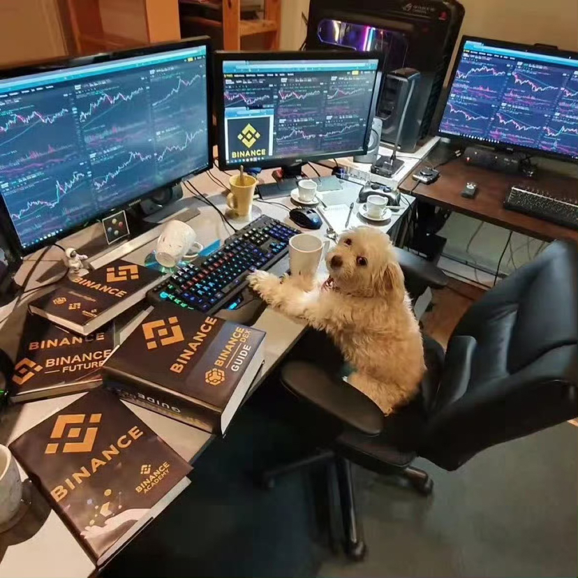 PIPPIN抄底警告：主力撤离+诱多陷阱+1%反转概率的三大死亡信号