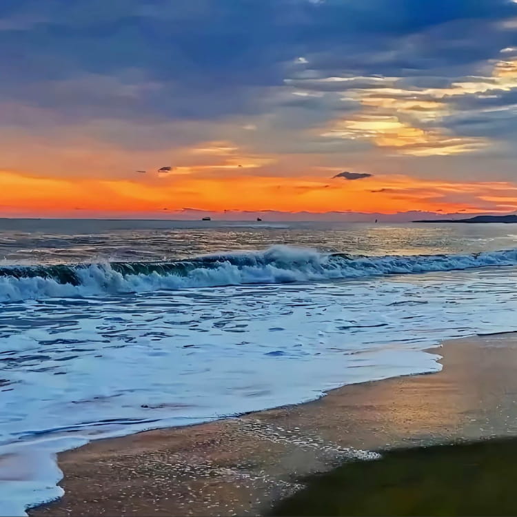 20倍满仓11种币 2025终极一搏能否逆袭币圈