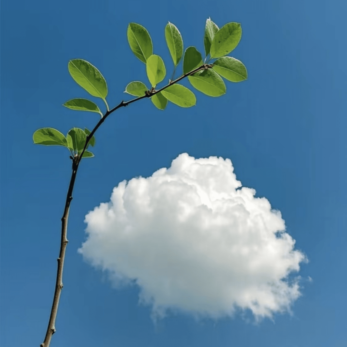 交易十六字真言：大道至简顺势而为，及时止损放飞利润