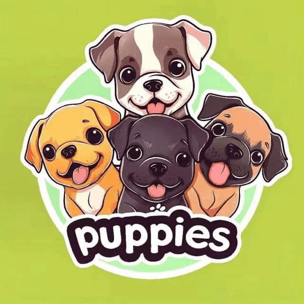 日本加息魔咒再临 比特币这次能否打破下跌剧本