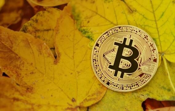 PEPE币投资指南:耐心等待时机,布局未来收益