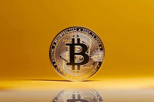 Sol链土狗投资:高收益与高风险并存,未来潜力可期