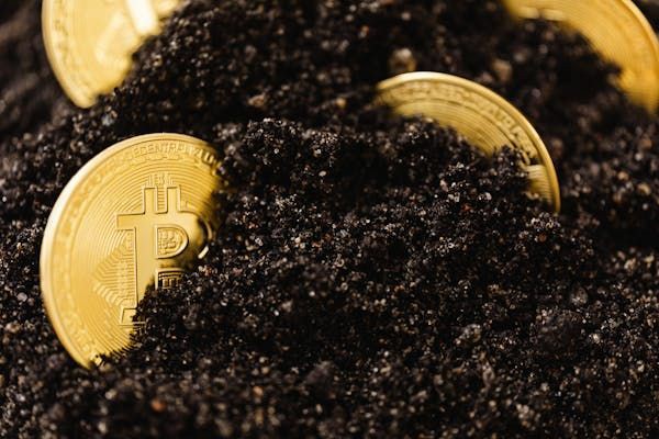 交易心理陷阱:如何避免常见的投资错误