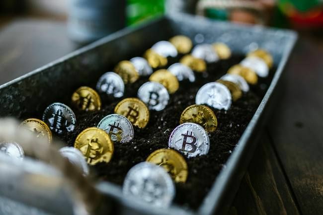 超级金狗现象:币圈牛市中的暴富机会