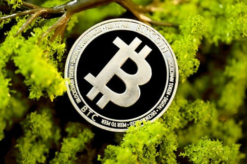 特朗普上台在即,这5款加密货币或迎暴涨机遇