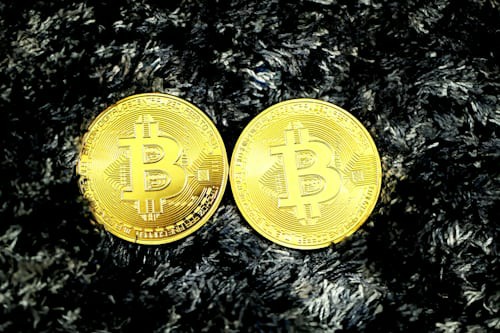 SHIB或迎爆发性增长?网络主管预测两三天内涨千倍