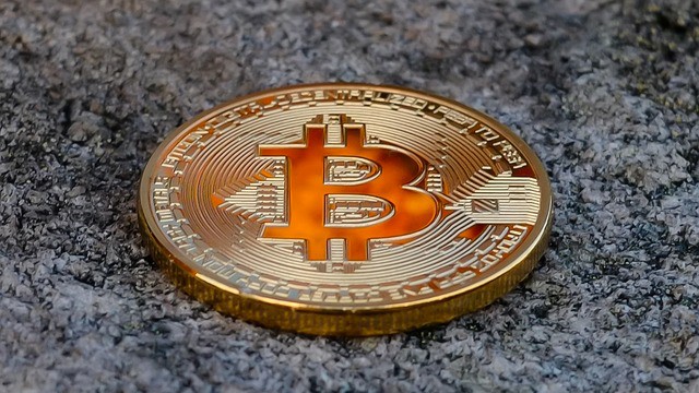 马斯克疏远DOGE：投资者何去何从？