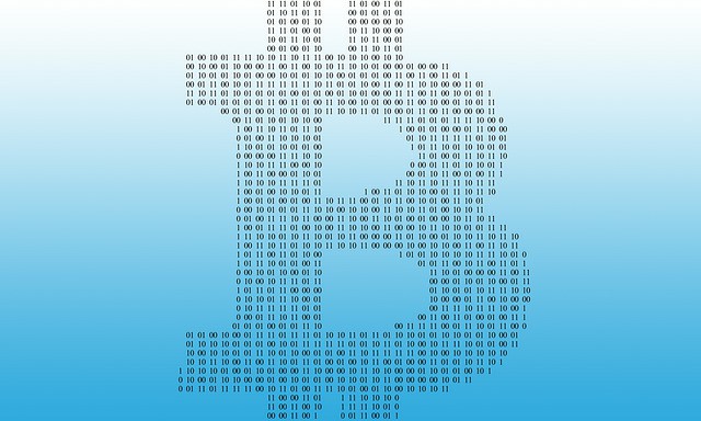 比特币生态全解析:从技术到市场的综合视角