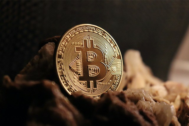 加密货币市场复苏:比特币与狗狗币前景光明,柴犬币有望大幅上涨