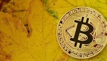 PEPE币投资指南：耐心等待时机，布局未来收益
