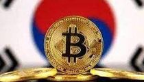 BOME未来发展前景及市场分析