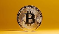 Sol链土狗投资：高收益与高风险并存，未来潜力可期