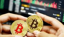 山寨币市场走势：暴跌将至还是热潮继续？