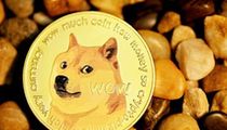 SHIB暴跌后现积极信号，生态系统现复苏迹象