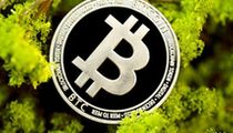 特朗普上台在即，这5款加密货币或迎暴涨机遇