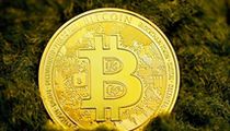狗狗币触及三年高位后市场趋平，新模因币CHILLGUY崛起