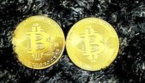 SHIB或迎爆发性增长？网络主管预测两三天内涨千倍
